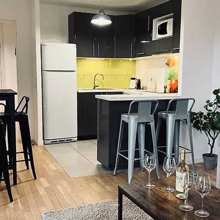 Lumiere Parisienne Moderne Lumineux Et Spacieux De 66m2 Metro L13 Parking Terrasse Et Ascenseur Malakoff